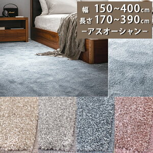 ���O�J�[�y�b�g(�A�X�I�[�V����/OCN)��150�`400cm × ����170�`390cm ���T�C�Y�W�J �y�h�����x���t�z�y������s�z���O �}�b�g �J�[�y�b�g �����x �Չ� ���{�� ���n ���� ������� �V���M�[ �T�L
