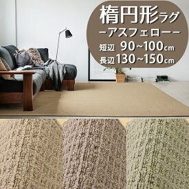 【1cm単位オーダー】楕円形ラグ(アスフェロー/FEL) 短辺 90〜100cm × 長辺 130〜150cm【防炎ラベル付】【代引き不可】ハイドロ銀チタン 防炎 防ダニ 抗菌 日本製 ラグ カーペット ラグマット 楕円 だ円 小さめ シンプル おしゃれ 新生活 無地 花粉対策