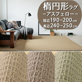 【1cm単位オーダー】楕円形ラグ(アスフェロー/FEL) 短辺 190〜200cm × 長辺 240〜250cm【防炎ラベル付】【代引き不可】ハイドロ銀チタン 防炎 防ダニ 抗菌 日本製 ラグ カーペット ラグマット 楕円 だ円 シンプル おしゃれ 新生活 無地 花粉対策