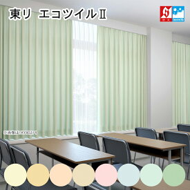 【 医療用 カーテン 】 東リ 防炎 カーテン エコツイル2 防炎ラベル付き TKY80268～TKY80275 幅60～300cm－丈80～260cm 1枚コントラクト縫製 タッセル付 1.5倍ヒダ Aフック