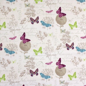 (J[en蔄) n 150cm × 1m`20m i LI4588001 j 100 tX An uStof-Xgtv /lfނɑ@ׂȑ؉Ԗ͗lƃJtȒX