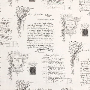 (J[en蔄) n 148cm × 1m`20m i li4893002/^[ WH j 100 tX An /lfނɉpX^ṽ`[t