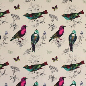 (J[en蔄) n 158cm × 1m`20m i SE6659-001/ j 100 EHbVu tX An uStof-Xgtv @ׂȒ̐}VѐSIȃfUC