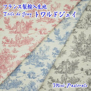 (���n���蔄��) ���n�� ��160cm × ����1m�`20m �i mini-pastorale4452/�~�j�p�X�g���� �j ��100�� �E�H�b�V���u�� �J���g�i�[�W�� �g�����h�W���C (mfta��)