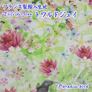 (n蔄) n 160cm × 1m`20m i paradise-bird6226/p_CXo[h j 100 EHbVu Jgi[W ghWC (mfta)