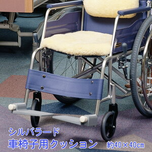 yfBJ [gz piVo[h Ԉ֎qpNbV 40×40cm 1