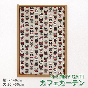  c JtFJ[e i Funny cat/4781-001 j 1cmPʃI[_[Ch 30`140cm 30`200cm 1 ዾ[XȔLyfUC lR cat  EHbVu 􂦂 