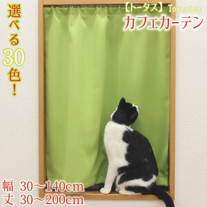 JtFJ[e 50 70 Ռ  O I[_[ c h 1Ռ  JtFJ[e i g[^X j 1 1cmPʃI[_[Ch 30`140cm 30`200cm EHbVu 􂦂 n 30