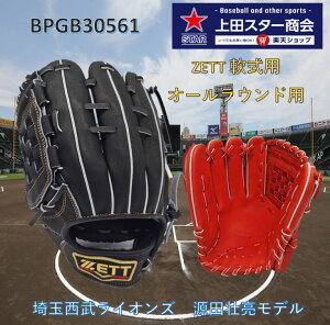 ZETT [bg PROSTATUS vXeC^X p I[Ehp  BPGB30561 ubN DIW 싅 w Z ʓ vXe