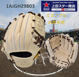 �y���Ԍ���I�|�C���g10�{ �z �^�t������ �~�Y�m MIZUNO �~�Y�m�v�� �d���p 5DNA�e�N�m���W�[�����p 1AJGH29803 �E�F�u���|�P�b�g ��� �u�����hx�R���N �u�����hx�u���E�� �T�C�Y9 �E���� ���Z��