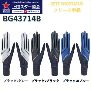 y25NFWfzZETT [bg PROSTATUS t[X BG43714B FreeTCY O[ ubN Ru[ h ΍ ʋ ʊw EH[~OAbv vXeC^X