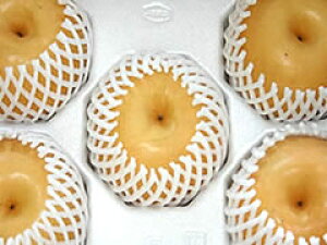 F{YW{V(rji3kgn[tTCYE4ʁ`7ʓ)TCYƒpkC,k,,͕ʓr500~Z܂B