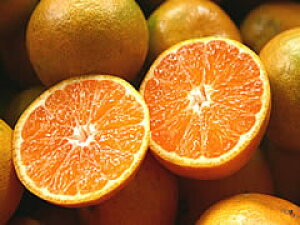 F{݂y킯育ƒpzӂ邳Ɖʎ݂̂7kgkC,k,,͕ʓr1000~Z܂B