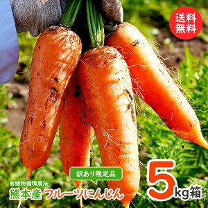 t[cɂ񂶂5kgy킯iz\񏳂蒆kAkC͕ʓr500~Z܂B