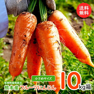 t[clQ10kgi߃TCYj\񏳂蒆@kAkC͕ʓr1000~Z܂B