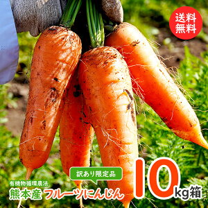 t[c ɂ񂶂10kgy킯iz\񏳂蒆kAkC͕ʓr1000~Z܂B