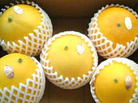 楽天市場 熊本産メロン 生産量no 1 正木さんのキンショウメロン 熊本のフルーツふるさと果樹園安田