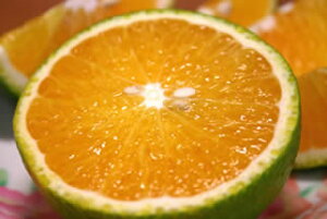 XC[gXvO(MELj10kg\񏳂蒆