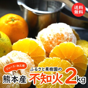 sm΁bF{Eӂ邳Ɖʎ̕sm(fR|jW[XEHpj2kg育\񏳂蒆kAkC͕ʓr500~Z܂B