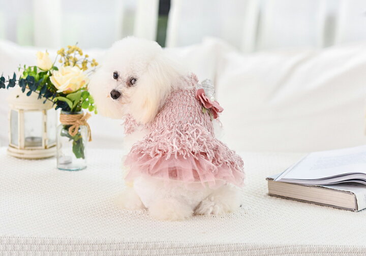 犬服 ドレス 秋 可愛い 小型犬 ドッグウェア ワンピース 中型犬 おしゃれ 女の子 送料無料 超小型犬 ボタン Aw 冬