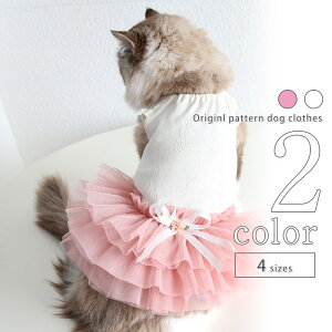  s[X { yTCYOKz Vv  ^ hbOEFA 2022SS L ̎q ^ t  ^  t ĕ p-clothes-442 ybgEFA pi v[g 