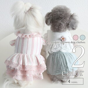  s[X t yTCYOKz hbOEFA 2022SS ^ ^ t  ^ ̎q  pi Mtg  t ĕ 킢 v[g p-clothes-453 ̕ 