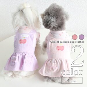  s[X S yTCYOKz Vv  hbOEFA ^ 2022SS ^ ^ ̎q t  o  p-clothes-477 킢  Mtg t ĕ ̕