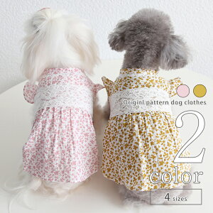 y݌ɏz   s[X  t[ ̎q ^ t   L L hbOEFA ^ 2022SS ^ v[g ̕ ybgEFA  pi p-clothes-487  