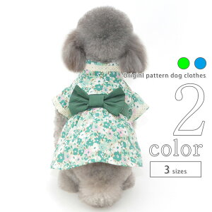   s[X yTCYOKz  ^ ^ hbOEFA ̎q  t  2022SS L ^ Mtg t ĕ p-clothes-509 v[g 킢  o ybgEF