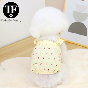   wanSkip yTCYOKz L~\[ `F[ ^ SS ^  ̎q hbOEFA t  ^ t ĕ o   ̕ v[g p-clothes-530 