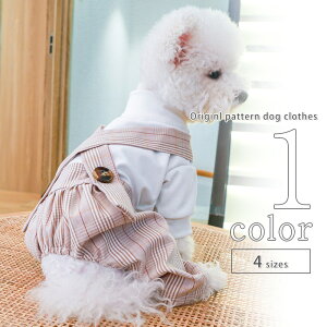  p[X `FbN yTCYOKz  ^ hbOEFA SS ̎q ^ ^ t  o t ĕ p-clothes-575 v[g   Mtg pi 킢 