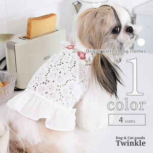   L~\[ yTCYOKz  t[ ^ ^ hbOEFA t  ^ SS ̎q  킢 Mtg p-clothes-658 ̕  pi t ĕ t v[g 