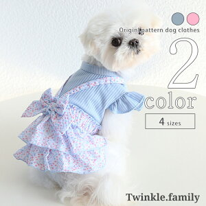  s[X  yTCYOKz t[ ^ ^ hbOEFA SS ^ ̎q   킢   p-clothes-859 Mtg o t ̕ t v[