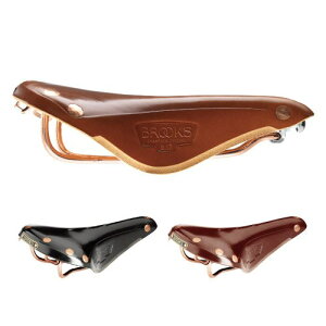 BROOKS (ubNX) B17 SPECIAL COPPER Th