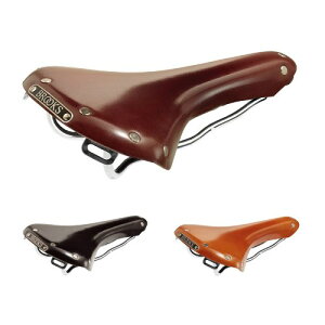 BROOKS (ubNX) SWALLOW B15 CHROME Th