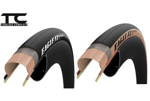 GOODYEAR (ObhC[) EAGLE (C[O) F1 SuperSport R `[uXfB[ [h^C