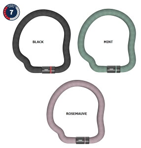 ABUS (AuX) 6206K GOOSE LOCK O[XbN