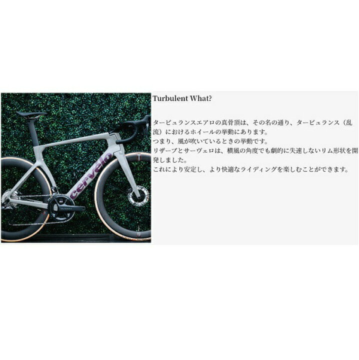 楽天市場】CERVELO (サーベロ) S5 2025 ロード フレームセット TVLAB 