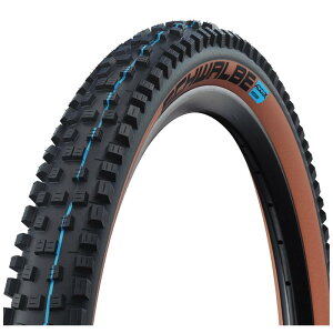 SCHWALBE (Vx) NOBBY NIC (mr[jbN) SUPER GROUND `[uXC[W[ uYXL 27.5×2.40