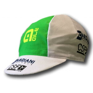 apis(AsX) TCNOLbv CSF BARDIANI ALE 2017 (CSFofBA[jG[2017)