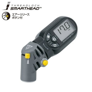 TOPEAK (gs[N) X}[gQ[W D2
