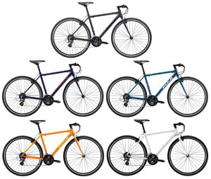 FUJI (tW) RAIZ (CY) 2022N  Vu[L NXoCN ANAu[