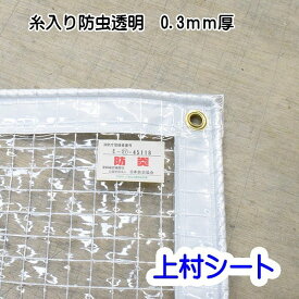 ビニールカーテン 防虫 透明 防炎 0.3mm厚 幅95-195cmx高さ180-200cm