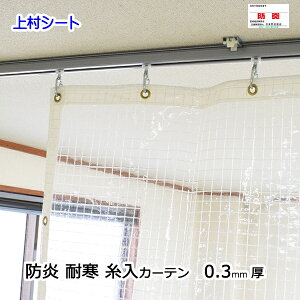 rj[J[e I[_[ 蓧 0.3mm 605-700cmx155-175cm