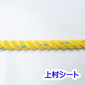 【代引不可】 親綱ロープ のり面ロープ スーパーセーブロープ 直径18mm×200m 法面 ロープ 親綱 テザック TESAC