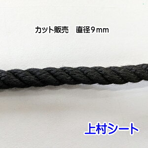 Ni[v  F a9mm [v Jbg̔