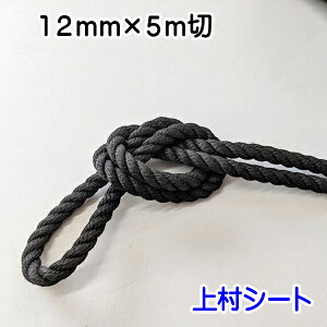 クレモナロープ 12mmの人気商品 通販 価格比較 価格 Com