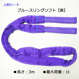 テザック ブルースリングソフト最大使用荷重 1t 長さ3m 紫色 両端アイ加工 国産品 日本製 ソフトスリングベルト
