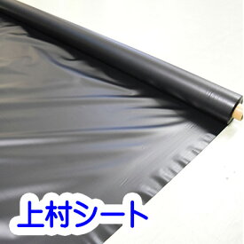 楽天市場 ビニールシート 黒の通販