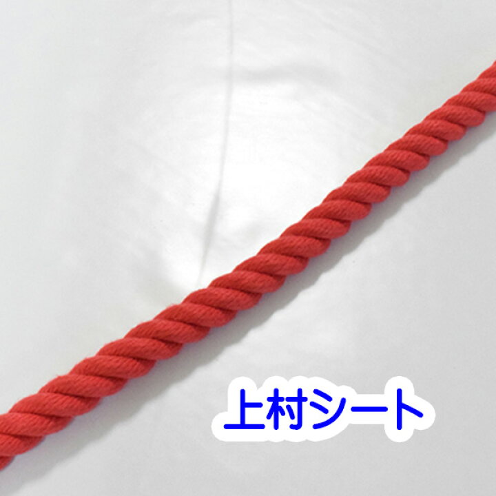 楽天市場】赤 ロープ エステルカラーロープ 直径10mm カット販売 赤色 